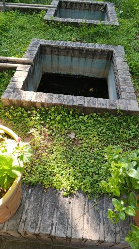 عکس باغ موزه نگارستان