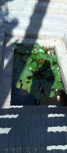 عکس باغ موزه نگارستان