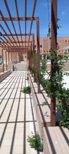 آموزشکده فنی دختران اصفهان