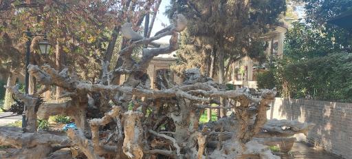 عکس باغ موزه نگارستان