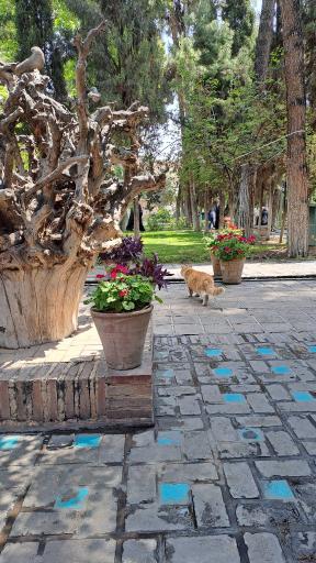 عکس باغ موزه نگارستان