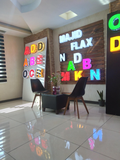 عکس مجید فلکس