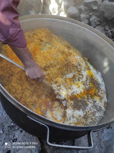 عکس کترینگ گل زعفرون