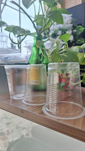 عکس فروشگاه نایلون و ظروف یکبار مصرف یادگاری