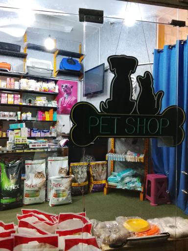 عکس پت شاپ دبستان