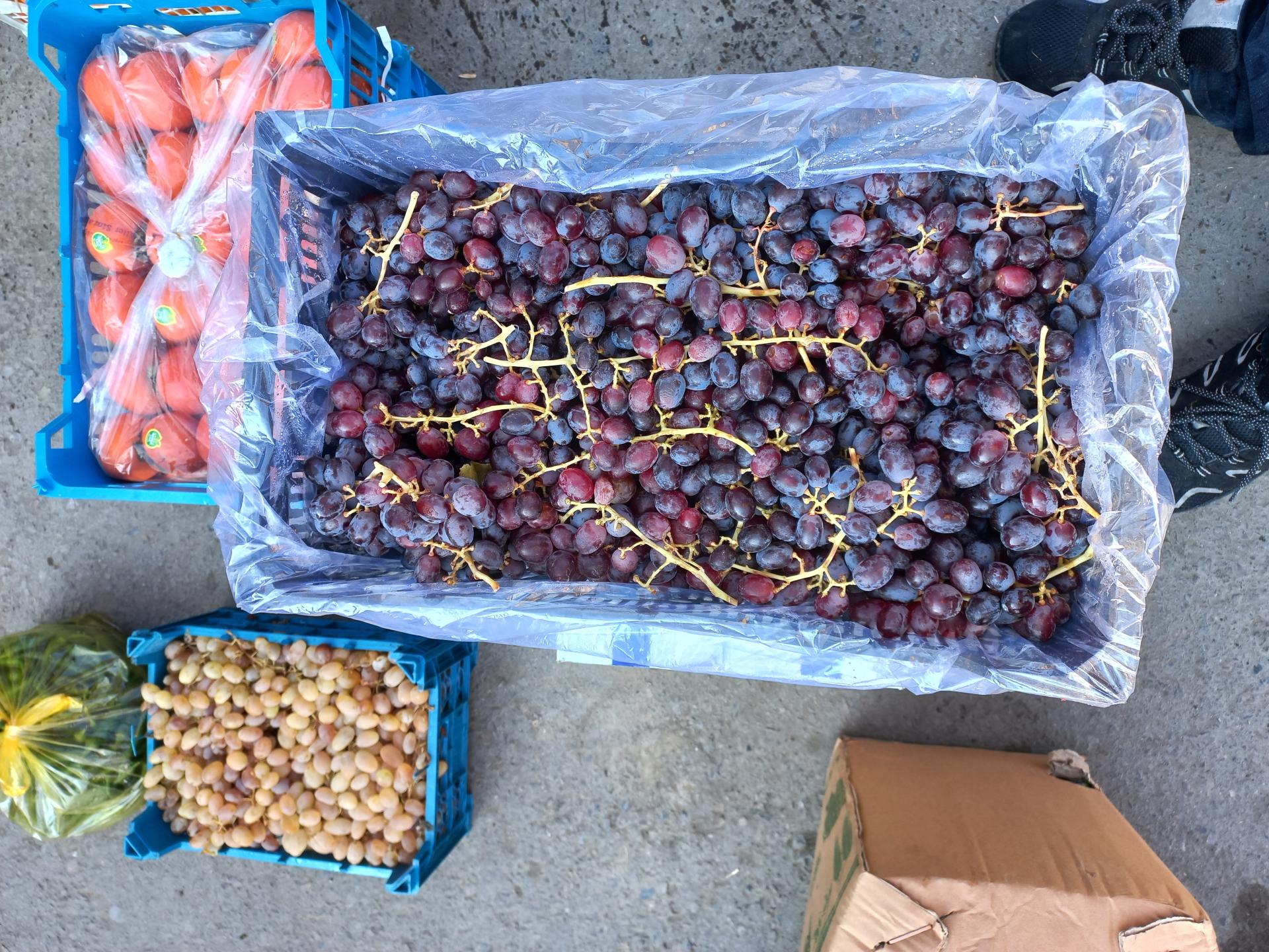 عکس سوپر میوه سعید