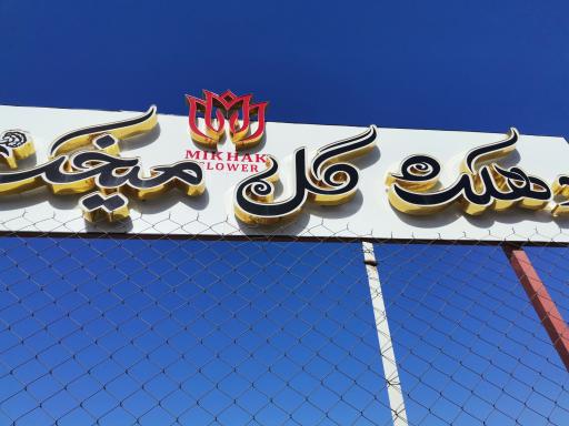 عکس دهکده گل میخک 