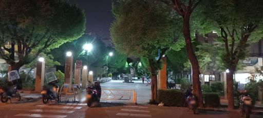 عکس بوستان پرستار