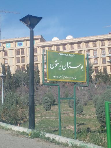 عکس پارک زیتون