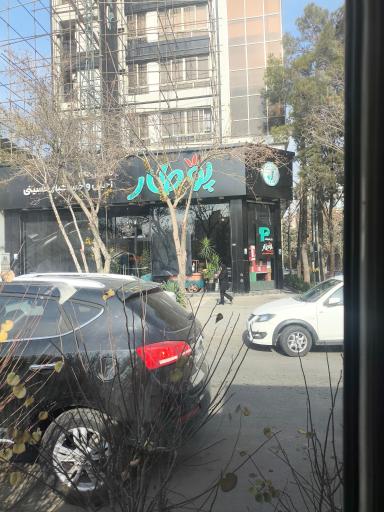 آجیل و خشکبار پوطار