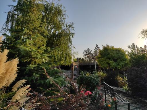 عکس باغ تالار ملکه