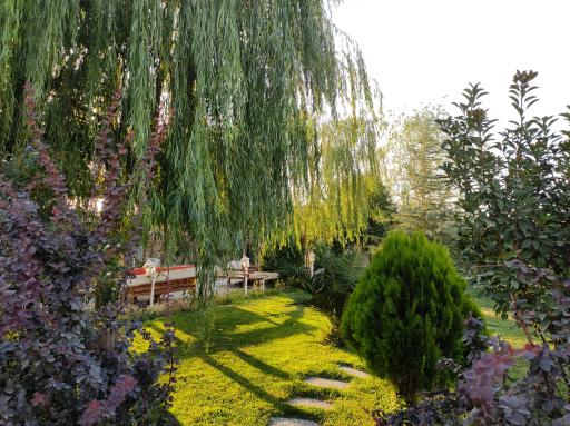 عکس باغ تالار ملکه