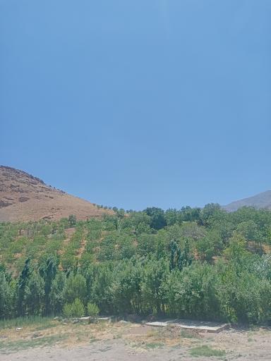 عکس تپه چغا