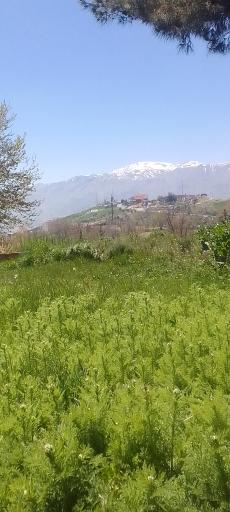 عکس تپه چغا