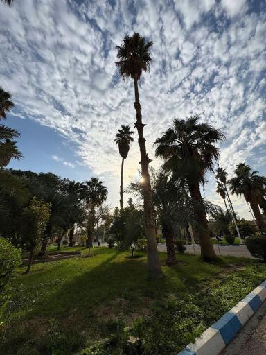 عکس دانشکده مهندسی نفت شهید تندگویان