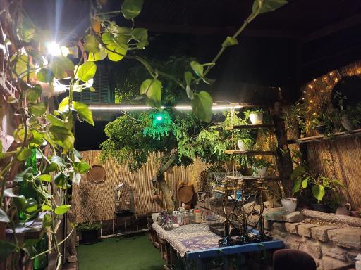 عکس کافه تیه کال