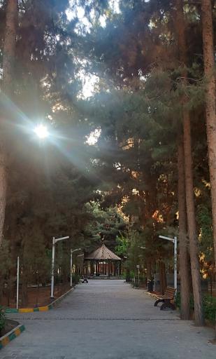 عکس پارک جنگلی خاوران