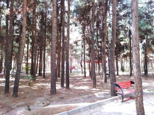 عکس پارک جنگلی خاوران