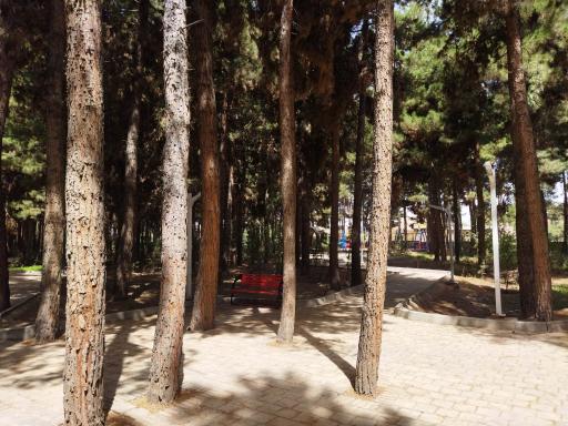 عکس پارک جنگلی خاوران