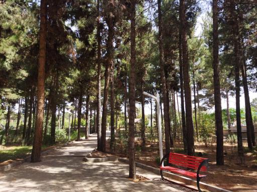 عکس پارک جنگلی خاوران