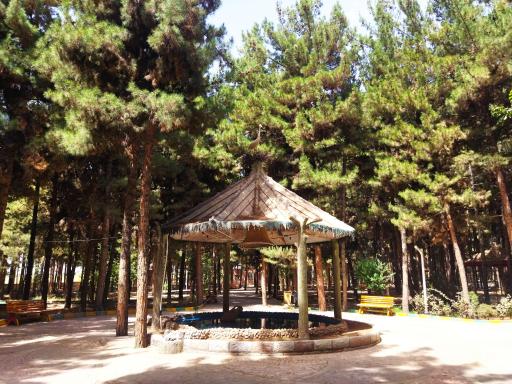 عکس پارک جنگلی خاوران