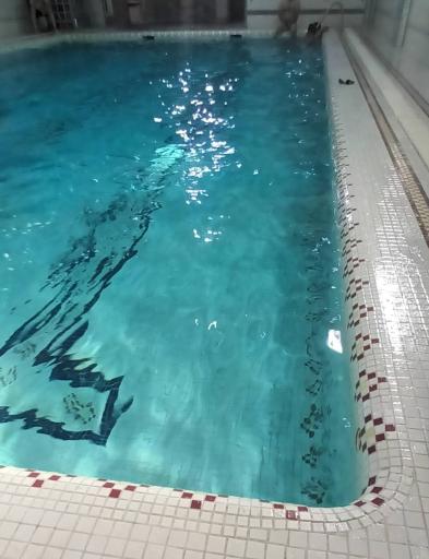 عکس استخر مروارید