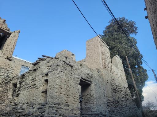 عکس درخت سرو کهنسال 300 ساله هزاوه