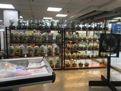 فروشگاه شهروند صادقیه