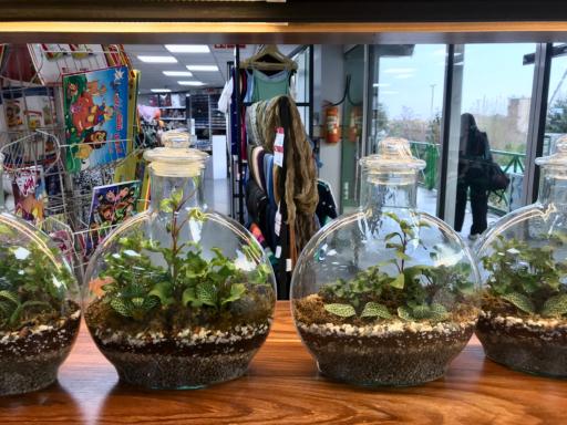 عکس فروشگاه شهروند صادقیه