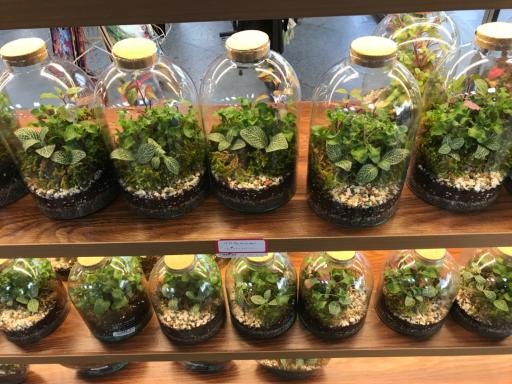 عکس فروشگاه شهروند صادقیه