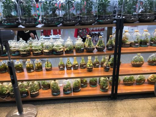 عکس فروشگاه شهروند صادقیه