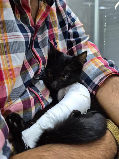 عکس کلینیک دامپزشکی هدهد