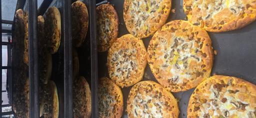 عکس نان فانتزی روشا