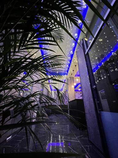 عکس سفره خانه بام لند