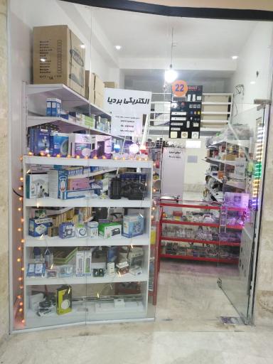 عکس الکتریکی بردیا