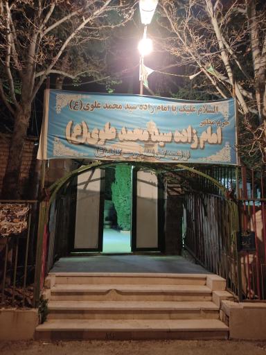 عکس امامزاده سید محمد علوی