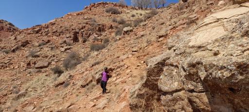 قله دند ارتفاع 2381