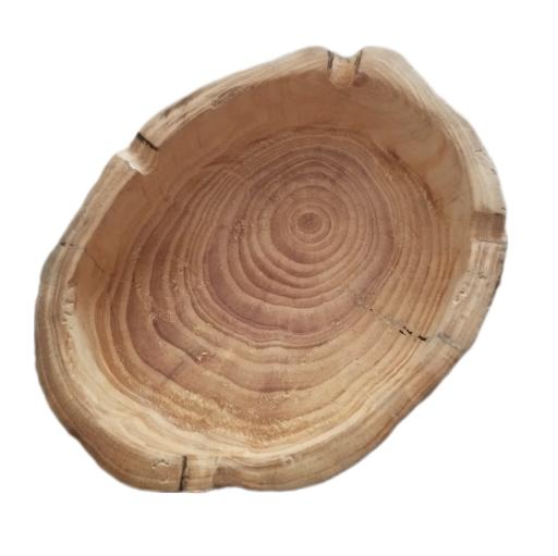 عکس کاکتوس امیر 