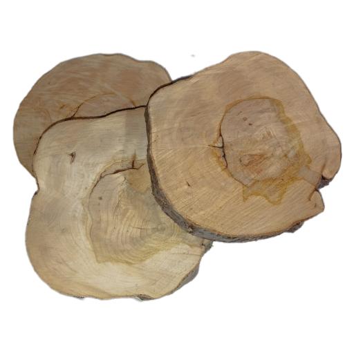 عکس کاکتوس امیر 