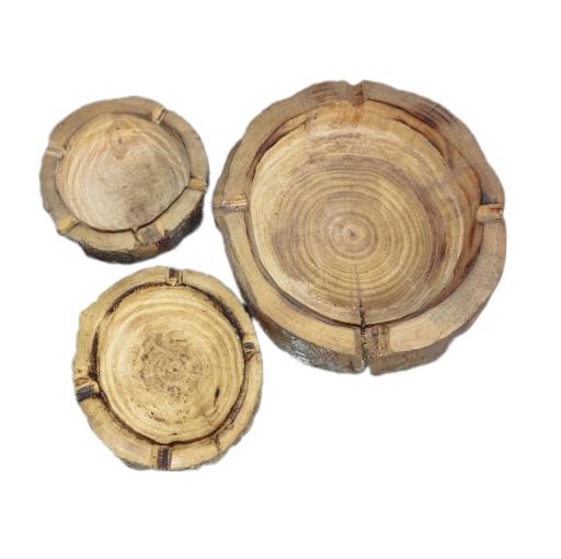 عکس کاکتوس امیر 