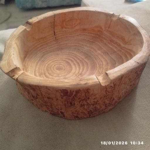 عکس کاکتوس امیر 