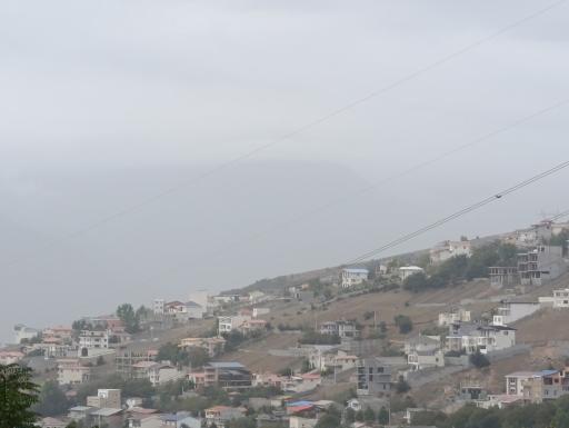 عکس بنفشه ده