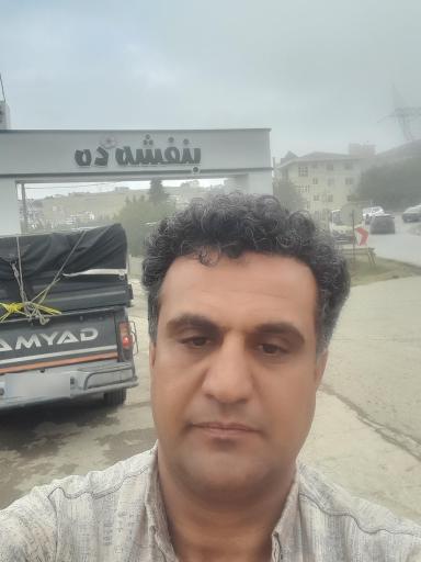 عکس بنفشه ده