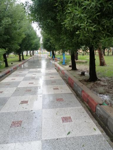 عکس پارک بنفشه