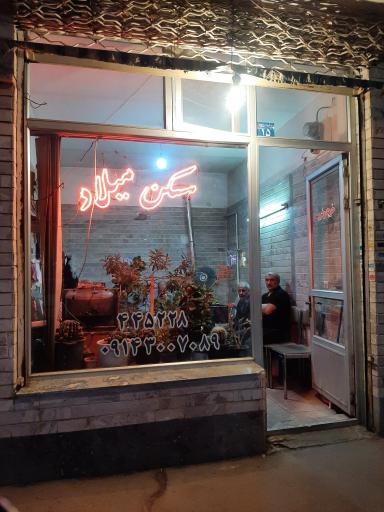 عکس املاک میلاد 