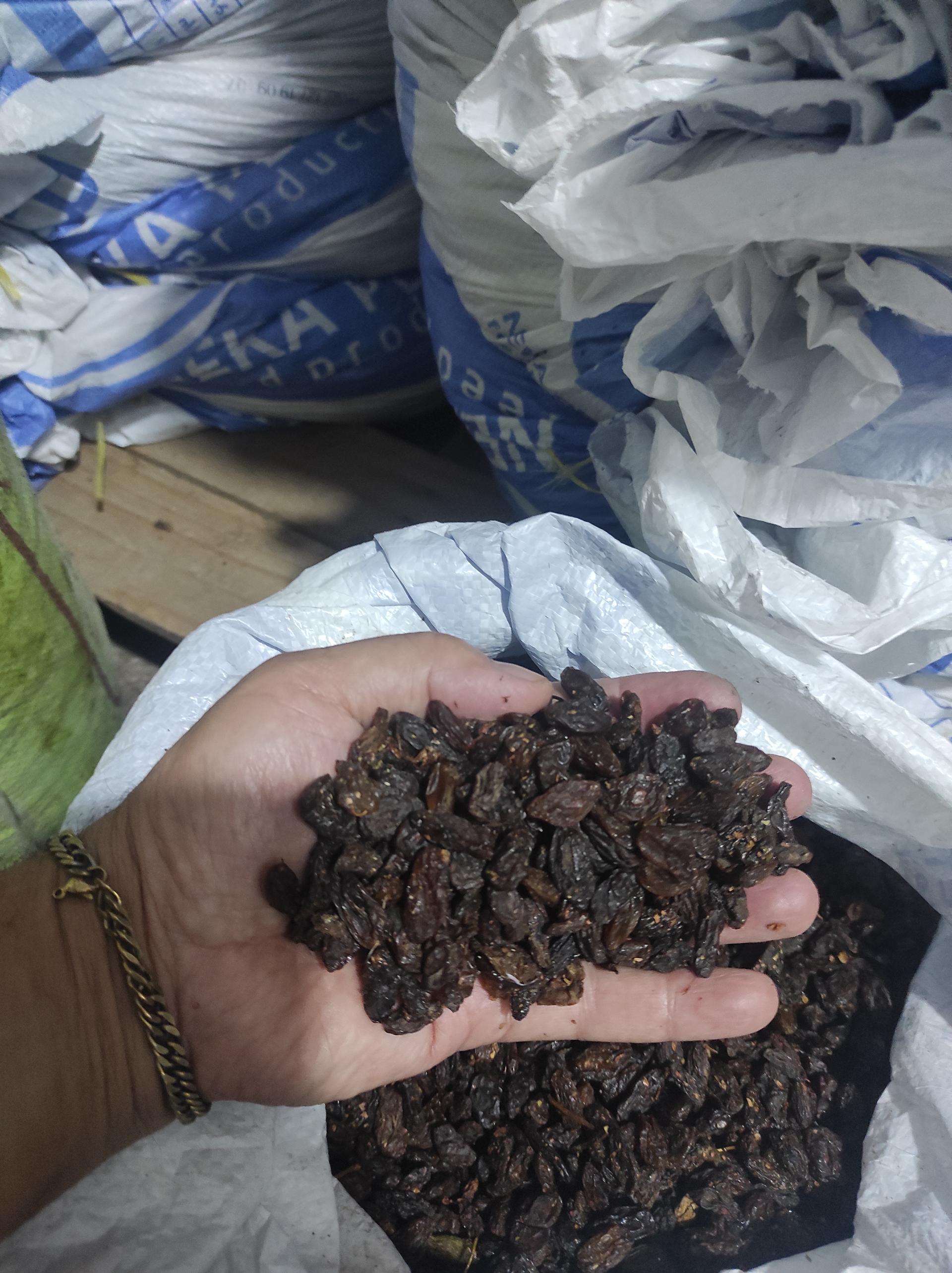 عکس پخش کشمش عابد