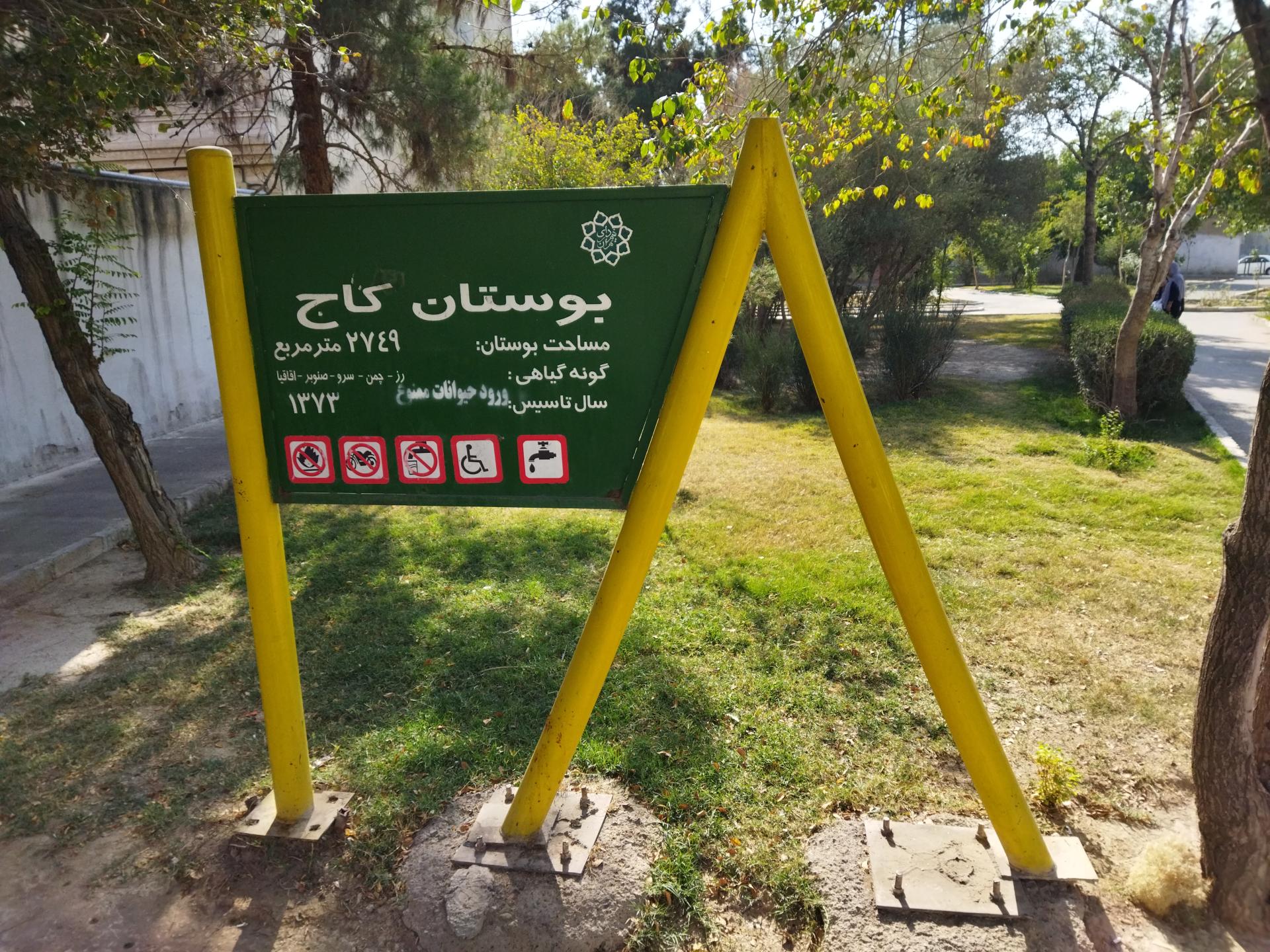 عکس بوستان کاج