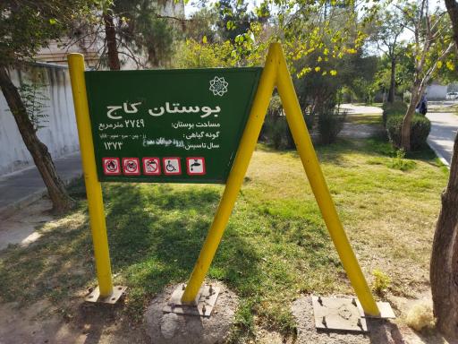 عکس بوستان کاج