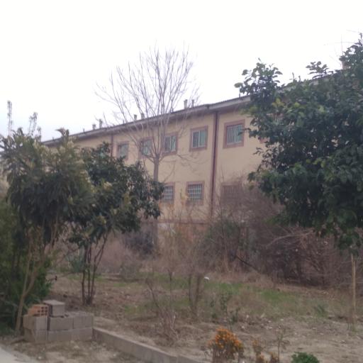 مجتمع فرهنگ 