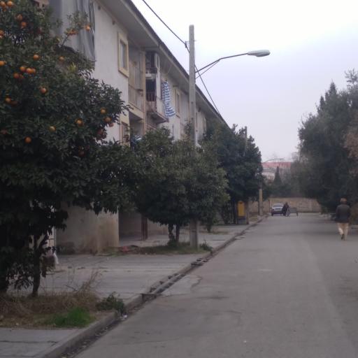 مجتمع فرهنگ 